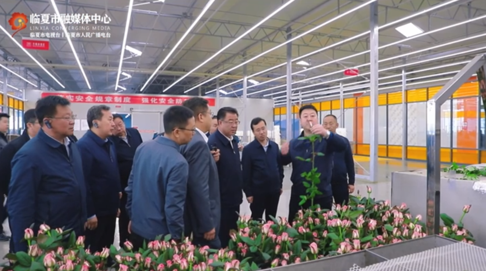 百益億農國際鮮花港項目——花卉產業盛放“美麗經濟”“中國玫瑰超級工廠”